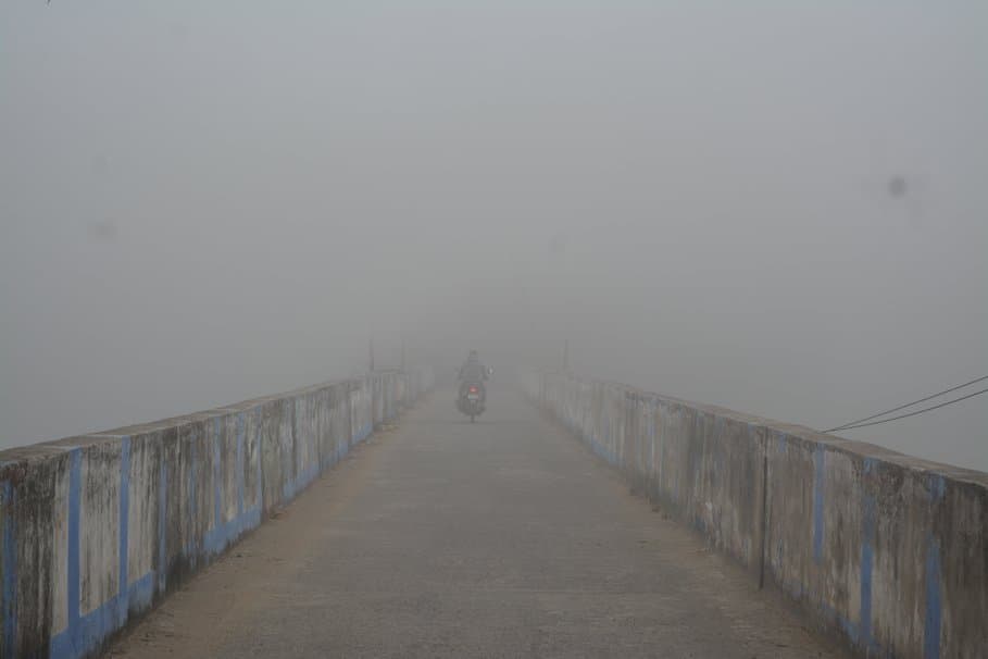 The Banyan’s Shadow