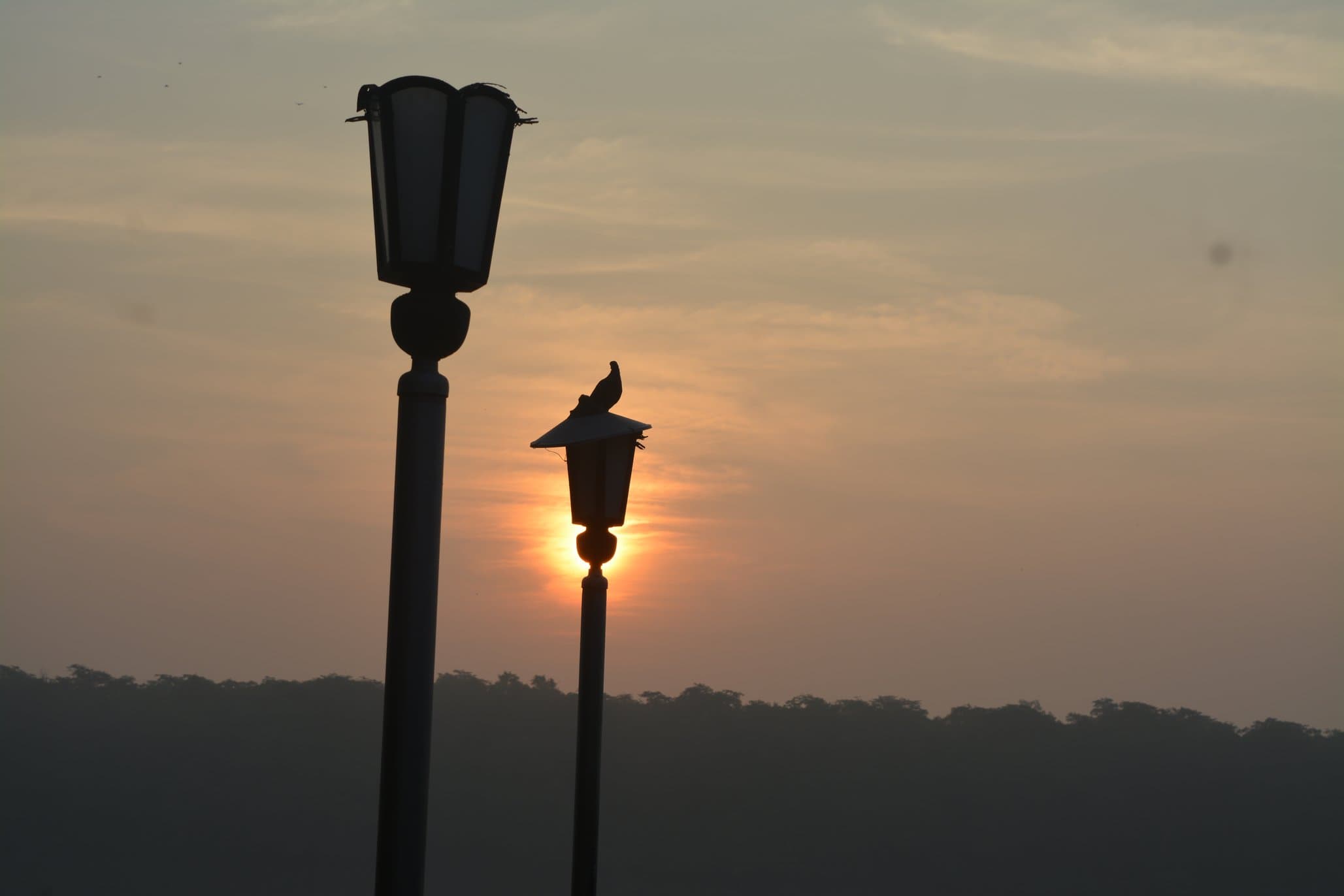Rickshaw in the Mist