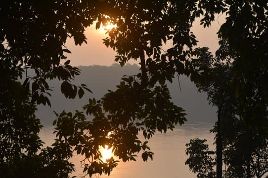 Birds Over the River