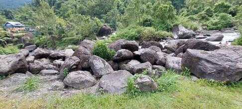 Wild Stream Crossing